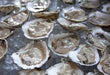 80-120 per box Chesapeake Bay Oysters