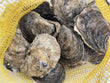 100 ct VA Oysters