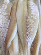 Alaskan Cod Fillets