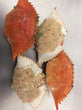 Deviled Crab
