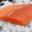 Salmon Fillet